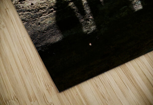 Shadows on Log John Becker Photography puzzle