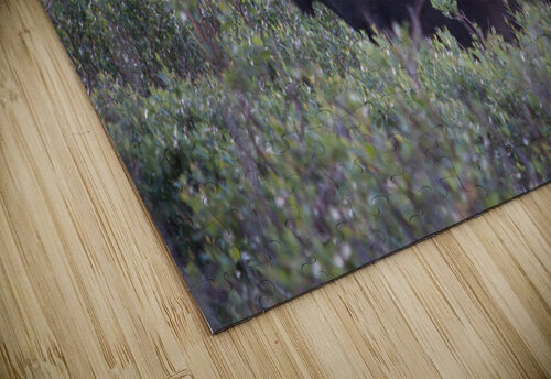 Moose John Becker Photography puzzle