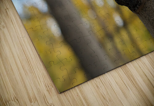 Tree Trunk John Becker Photography puzzle