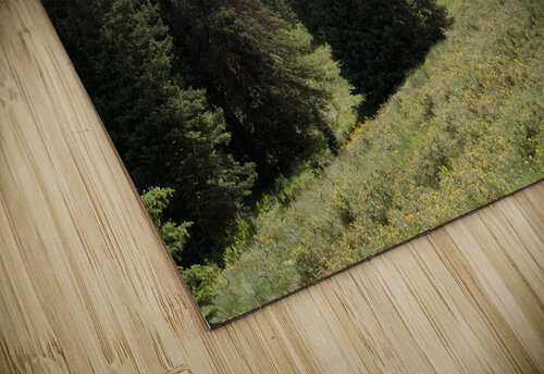 Trail Into Trees John Becker Photography puzzle