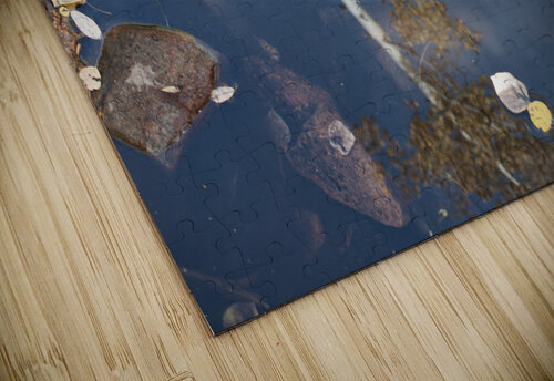 Aspen Reflections 2 John Becker Photography puzzle