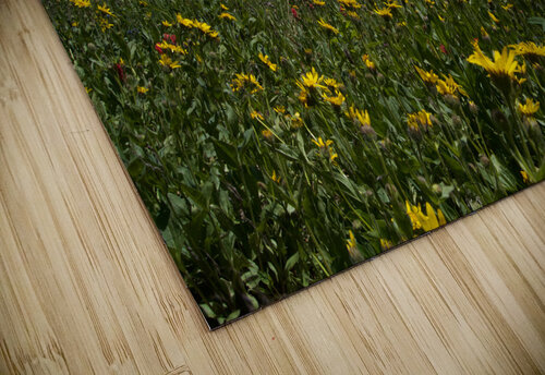 Crater Lake John Becker Photography puzzle