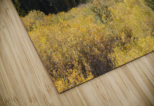Fall Colors 4 John Becker Photography puzzle