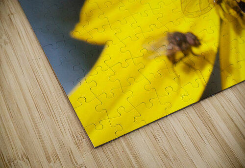 Bee on Yellow Flower John Becker Photography puzzle