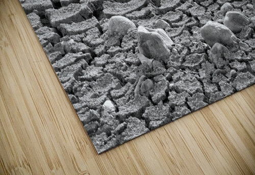 Cracked Earth John Becker Photography puzzle
