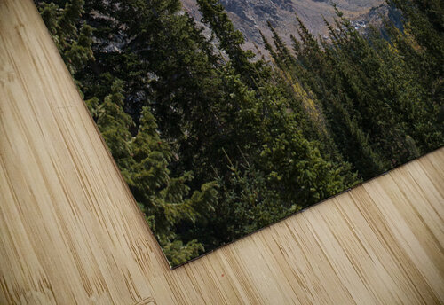 Evergreens John Becker Photography puzzle