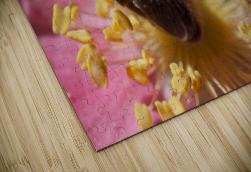 Bee on Pink Flower John Becker Photography puzzle