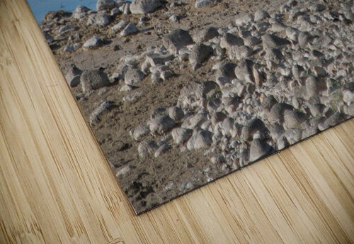 Lake Bird John Becker Photography puzzle