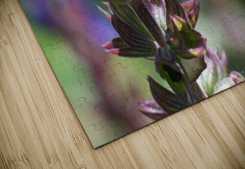 Dragonfly on Flowers John Becker Photography puzzle