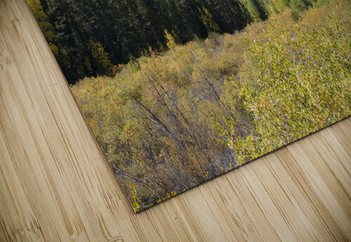 Fall Colors 2 John Becker Photography puzzle