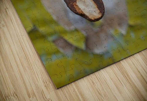 Nail Head John Becker Photography puzzle