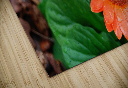 Wet Petals John Becker Photography puzzle