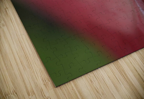 JB0 4701 John Becker Photography puzzle
