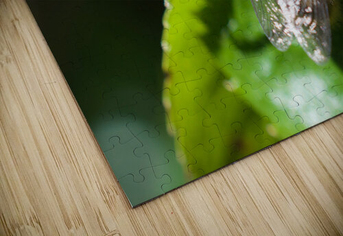 JB0 4048 John Becker Photography puzzle