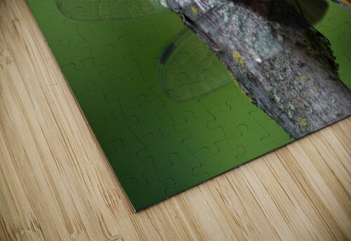 JB0 5098 John Becker Photography puzzle