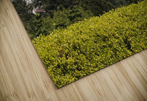 JB0 4173 John Becker Photography puzzle