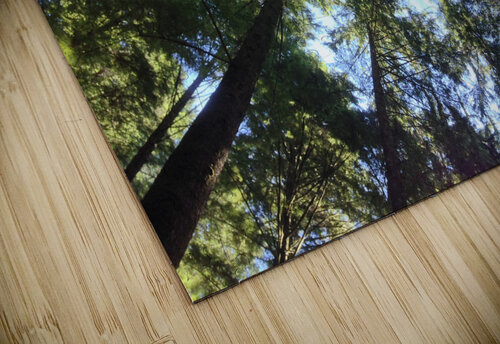IMG 3993 John Becker Photography puzzle