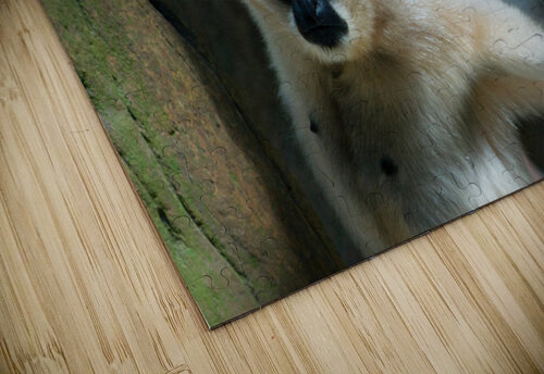 JB0 4813 John Becker Photography puzzle