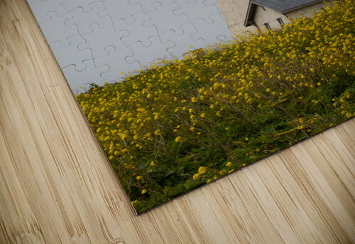 JB0 4272 John Becker Photography puzzle