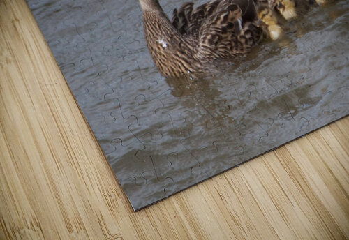 JB0 6189 John Becker Photography puzzle