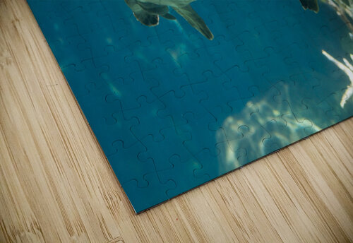 JB0 4847 John Becker Photography puzzle