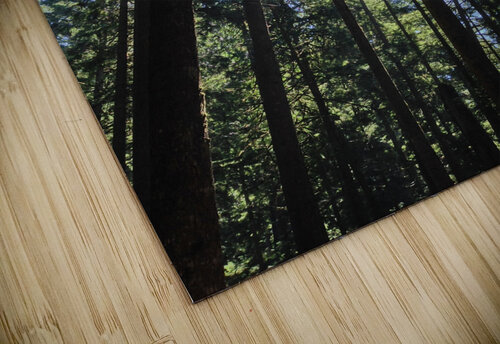 IMG 3991 John Becker Photography puzzle