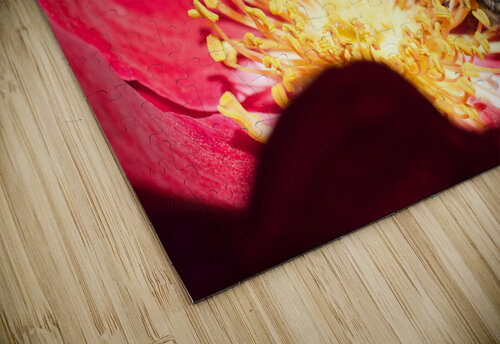 JB0 4006 John Becker Photography puzzle