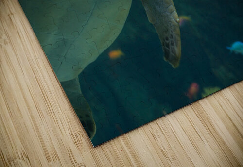 JB0 4848 John Becker Photography puzzle
