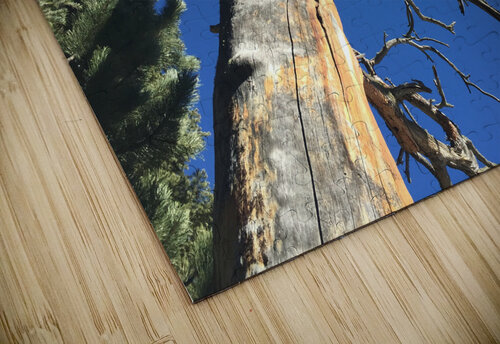 IMG 5031 John Becker Photography puzzle