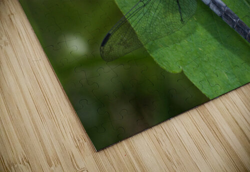 JB0 5038 John Becker Photography puzzle