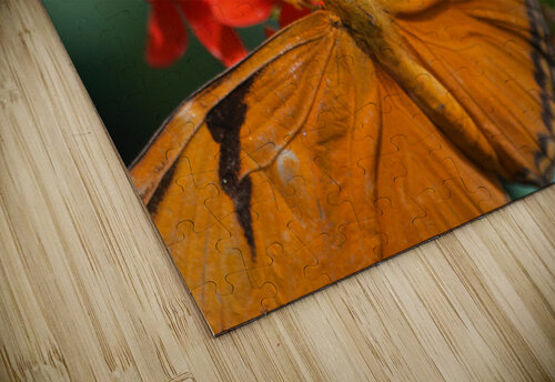 JB0 4874 John Becker Photography puzzle