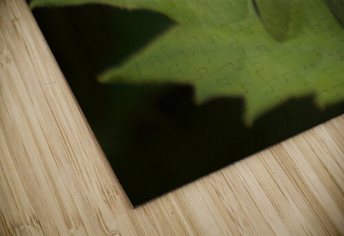 JB0 5092 John Becker Photography puzzle