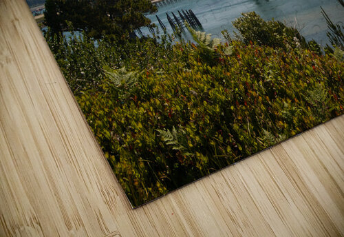 JB0 4242 John Becker Photography puzzle
