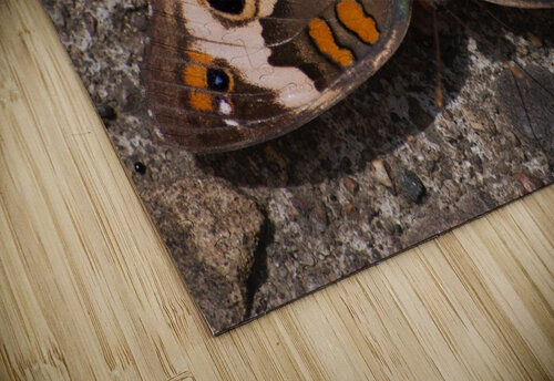 JB0 4867 John Becker Photography puzzle