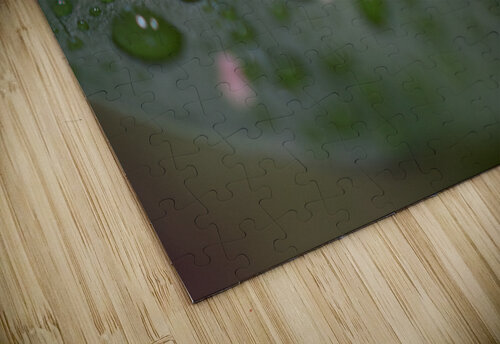 JB0 6094 John Becker Photography puzzle