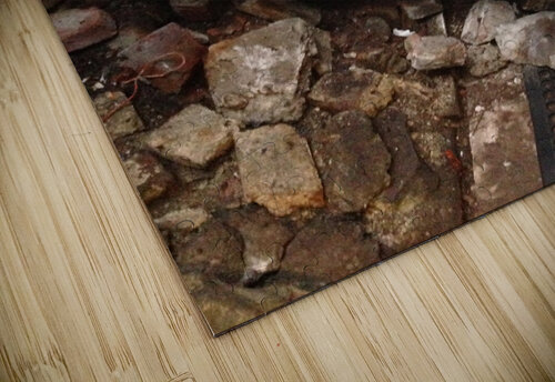 IMG 4177 John Becker Photography puzzle
