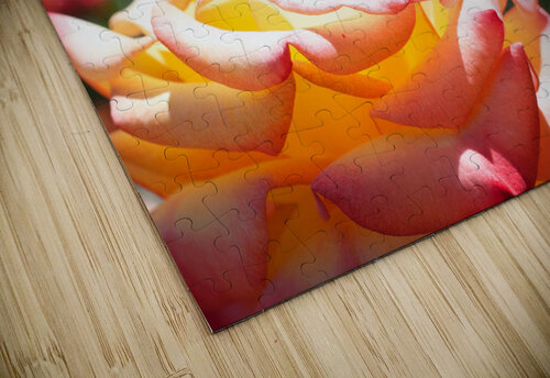 JB0 4026 John Becker Photography puzzle