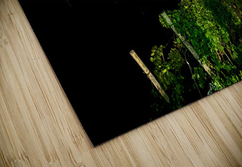 IMG 2355 John Becker Photography puzzle