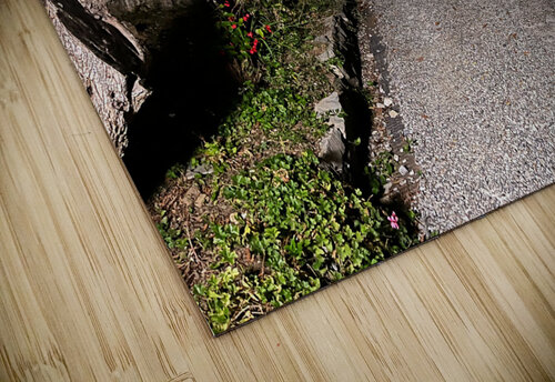 IMG 2352 John Becker Photography puzzle