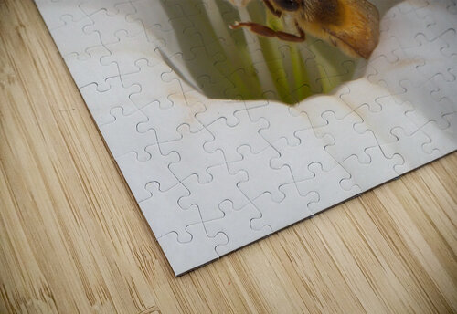 DSCN2305 John Becker Photography puzzle