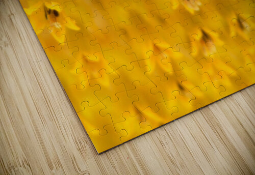 DSCN2327 John Becker Photography puzzle