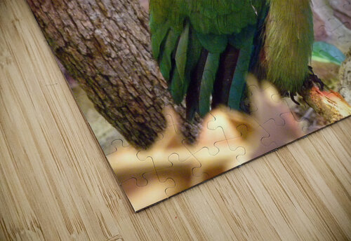 DSCN2021 John Becker Photography puzzle