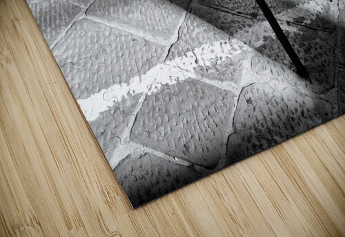 DSCF0563 John Becker Photography puzzle