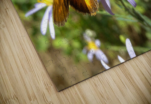 DSCN2270 John Becker Photography puzzle