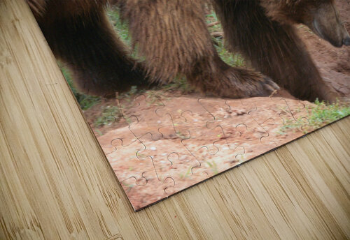DSCN2039 John Becker Photography puzzle