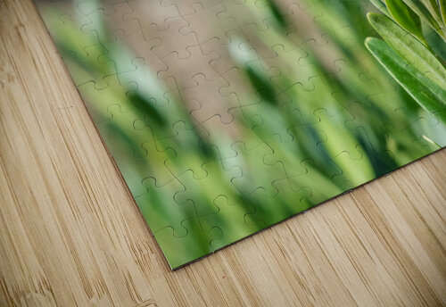 DSCF0598 John Becker Photography puzzle