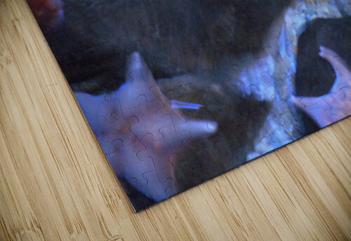 IMG 0379 John Becker Photography puzzle