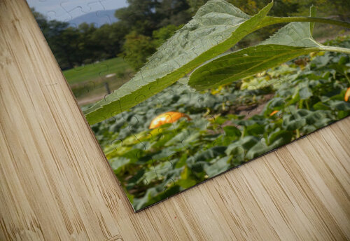 DSCN2324 John Becker Photography puzzle