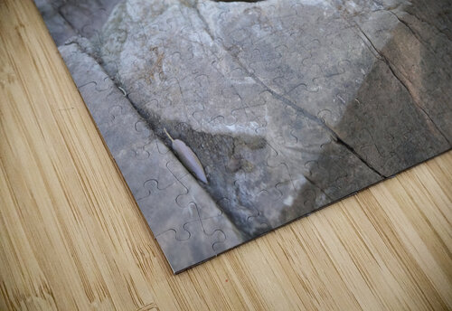 DSCF0634 John Becker Photography puzzle