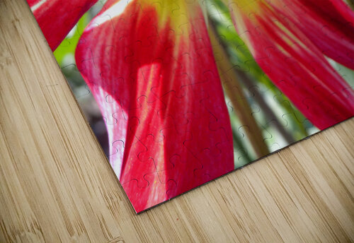 DSCN2314 John Becker Photography puzzle